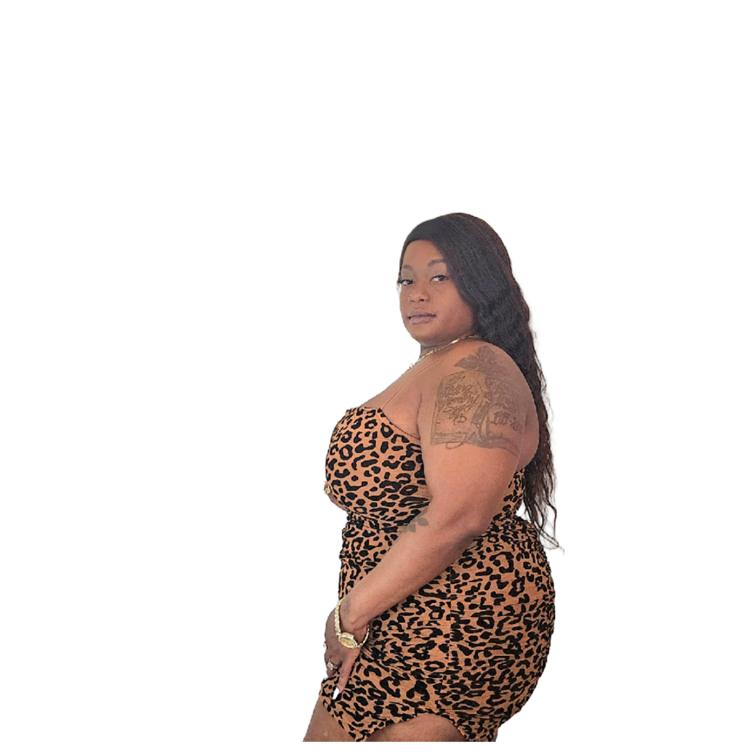 Leopard Mesh Bodycon Dress