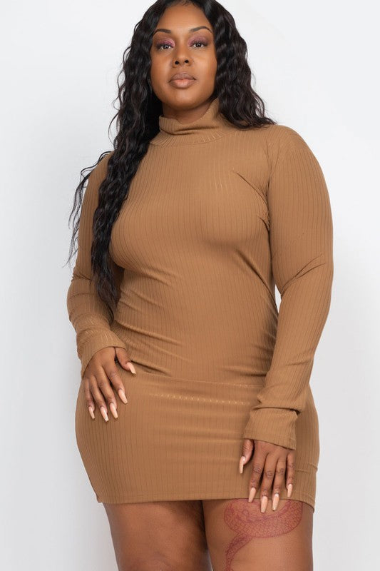 Long Sleeve Turtleneck Dress